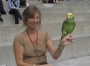 parrotlady